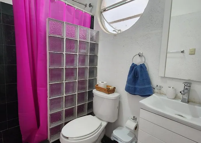 Departamento Frida A 9 Minutos De Reforma Apartamento *